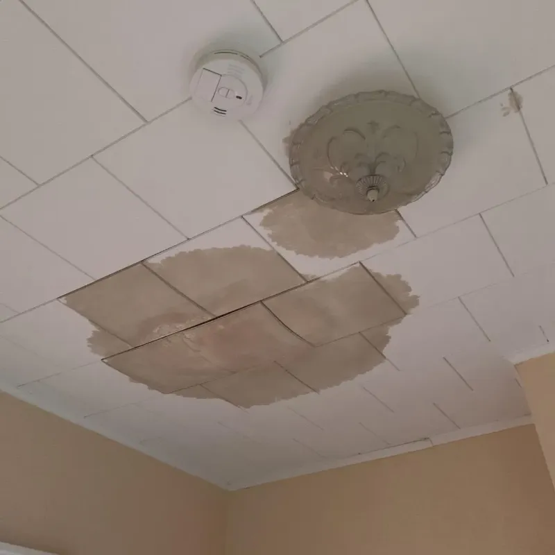 Ceiling Water Damage Repair in Hollins, VA