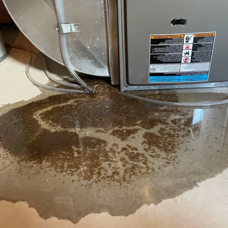 Pipe Burst and Leak Restoration in Hollins, VA