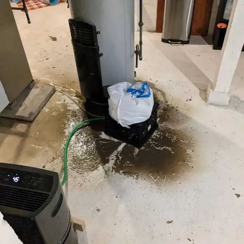 Sewage Backup Cleanup Service in Hollins, VA